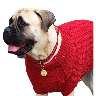 The Chunk Dog Jumper